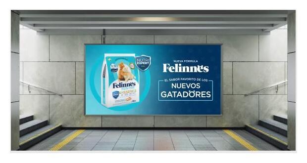 Aplicación en subte — campaña Felinnes
